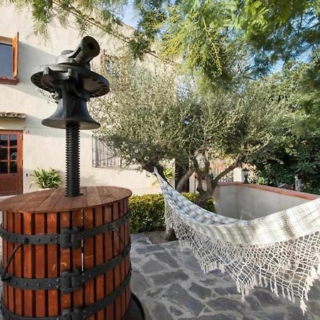 Гостевой дом Masia Can Tramontana Tiana Экстерьер фото